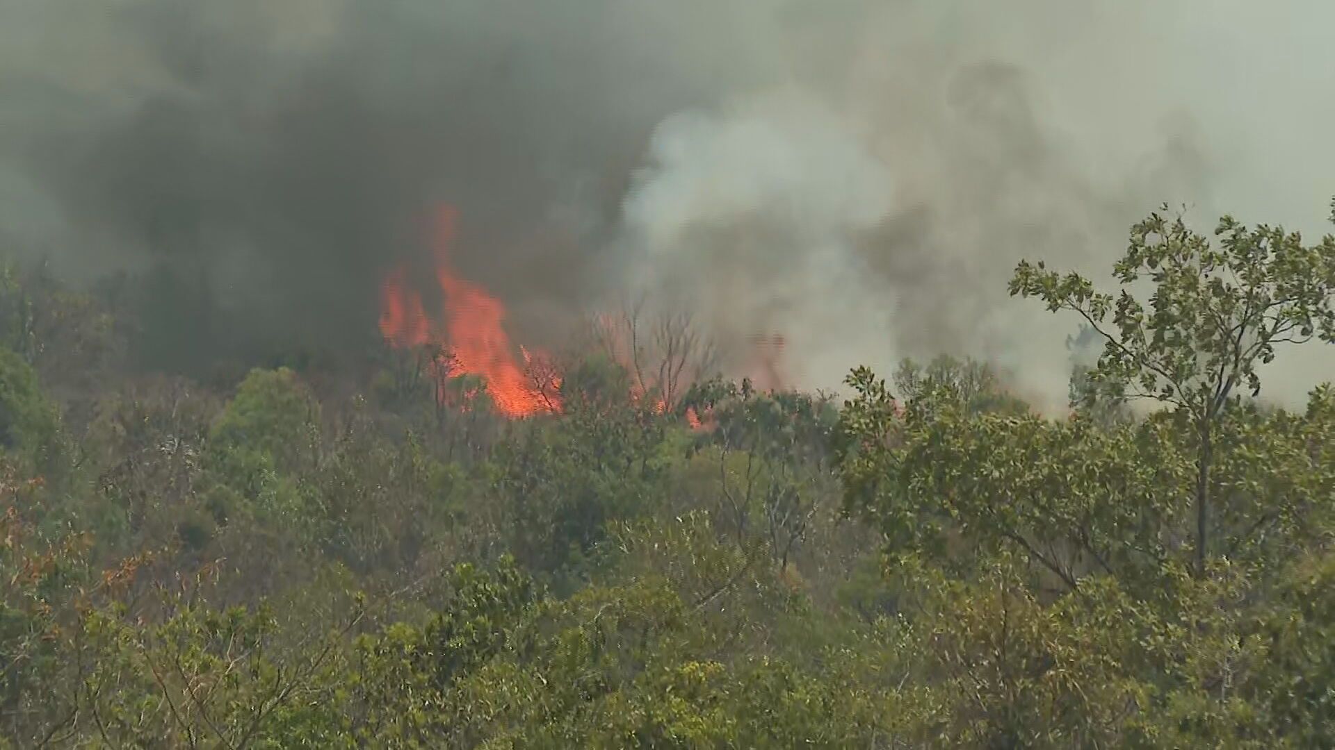 Incêndio Parque Nacional de Brasília