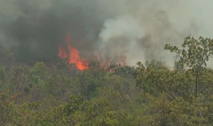 O que sabemos sobre o incêndio no Parque Nacional em Brasília