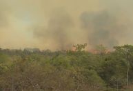 Incêndio no Parque Nacional de Brasília tem risco de se espalhar, diz ICMBio
