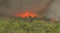 Câmara aprova pena maior para autores de incêndios criminosos