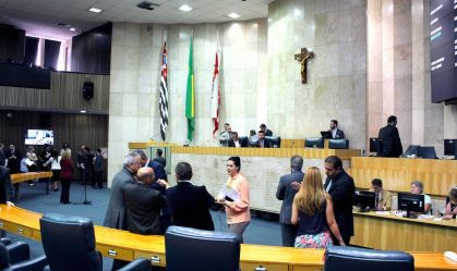 CAMARA MUNICIPAL SP 2