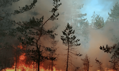 Governo de SP libera R$ 5,9 milhões para combate aos incêndios com aeronaves