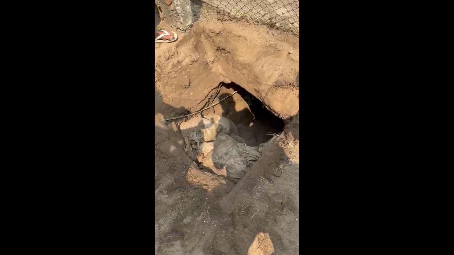 Túnel feito por criminosos no Complexo Penitenciário de Bangu, no Rio de Janeiro