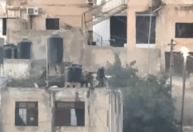 Vídeo mostra soldados israelenses jogando corpos de telhado na Cisjordânia