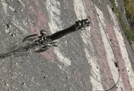 Kiev investiga suposta execução de soldado ucraniano com espada medieval