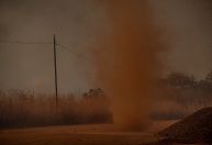 Desmatamento no Cerrado emite 135 milhões de toneladas de gases do efeito estufa