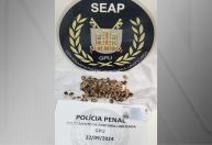 Mulher tenta entrar em presídio com droga escondida em salsichas no RJ