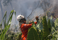 Mais de 400 incêndios florestais foram combatidos nos últimos dois meses na Bahia