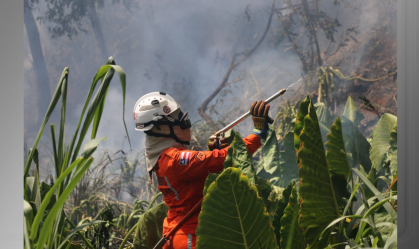 Veja estado de saúde de bombeiros atingidos durante combate a incêndio no DF