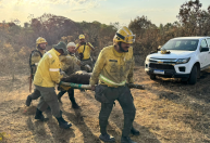 Bombeiros resgatam anta ferida em incêndio no Parque Nacional de Brasília