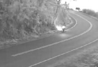 RJ: polícia prende homem flagrado provocando incêndio que devastou área de proteção ambiental; assista