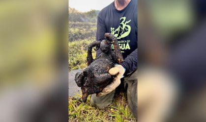 Design sem nome (10)