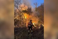 Pantanal enfrenta pior seca dos últimos 70 anos, diz governo do MS