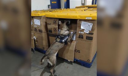 cocaína correios recife