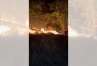 Rio de Janeiro registra mais de 16 mil incêndios florestais em 2024