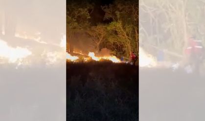 Rio de Janeiro registra mais de 16 mil incêndios florestais em 2024