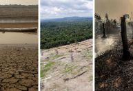 Dia da Amazônia tem região sofrendo com seca e queimadas