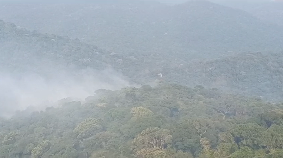 Focos de incêndio no Parque Cantareira