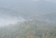 Núcleo do Parque Estadual Cantareira em SP é fechado devido a focos de incêndio