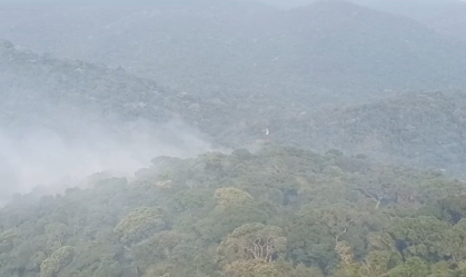 Núcleo do Parque Estadual Cantareira em SP é fechado devido a focos de incêndio