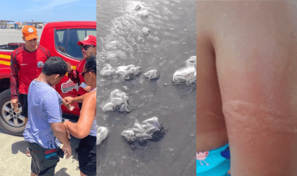Mais de 40 banhistas sofrem queimaduras por caravelas-portuguesas no Piauí