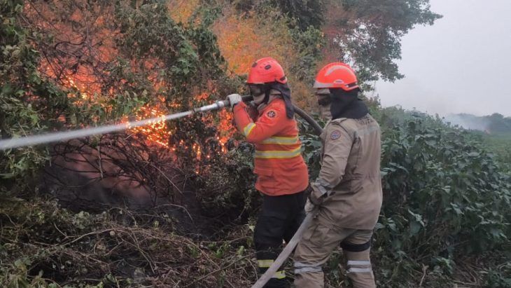 Incendios-Pantanal-2024_Porto-Indio-02_10-de-setembro_CBMMS-e1726152862414-730x480