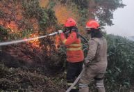 AGU quer multar infratores ambientais do Pantanal em R$ 725 milhões
