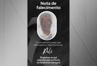 Homem de 74 anos morre após ataque de abelhas em Pernambuco