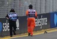 Treino da Fórmula 1 é interrompido após lagarto invadir a pista
