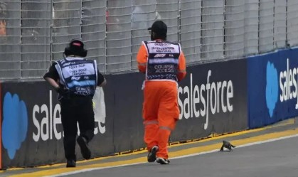 Treino da Fórmula 1 é interrompido após lagarto invadir a pista