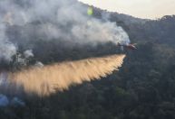 Governo do Rio determina reabertura de parques após incêndios florestais