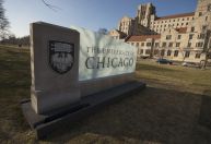 Conheça a Universidade de Chicago, onde Gil do Vigor foi aprovado