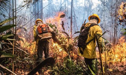 Combate a incêndio em região de Mata em Rondônia