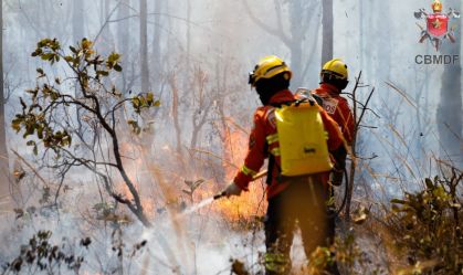Incêndio já atingiu cerca de 38% da Floresta Nacional de Brasília