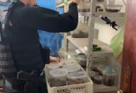 PF investiga homem que enviaria 73 aranhas à Europa ilegalmente