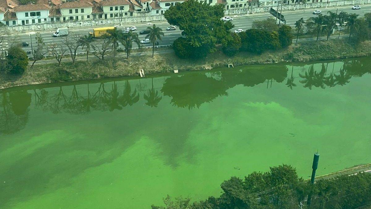 rio pinheiros verde