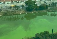 São Paulo começa nova operação para reduzir algas no Rio Pinheiros nesta sexta-feira (27)
