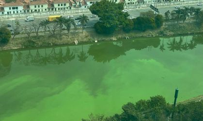 São Paulo começa nova operação para reduzir algas no Rio Pinheiros nesta sexta-feira (27)