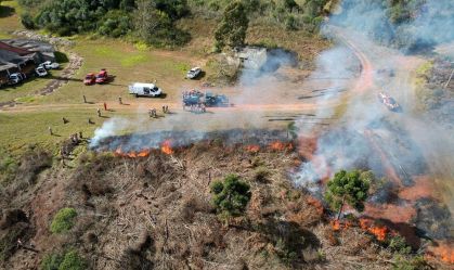 Queimas controladas são suspensas por 90 dias no Paraná para prevenir incêndios