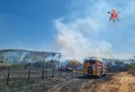Incêndio florestal atinge área do Parque Ecológico do Riacho Fundo (DF)