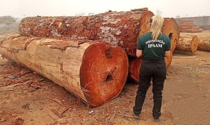 Operação aplica mais de R$ 100 milhões em multas ambientais no Amazonas