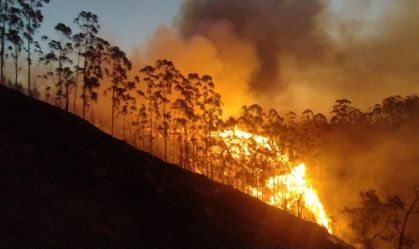 Incêndios florestais aumentam 648% nos primeiros dias de outubro em São Paulo