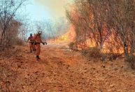 Com clima desfavorável, incêndio persiste há um mês no oeste da Bahia
