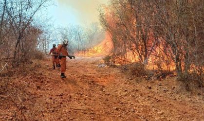 Com clima desfavorável, incêndio persiste há um mês no oeste da Bahia