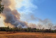 PF abre inquérito para apurar incêndio no Parque Nacional de Brasília