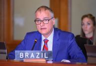 "OEA vive crise de legitimidade", diz embaixador do Brasil