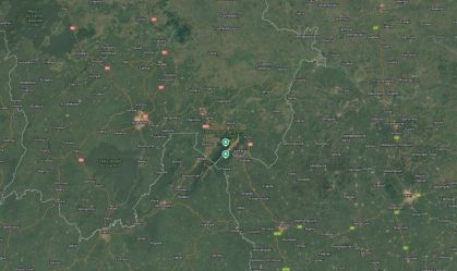 Multidão invade e vandaliza centro de chimpanzés na Guiné após animal matar bebê