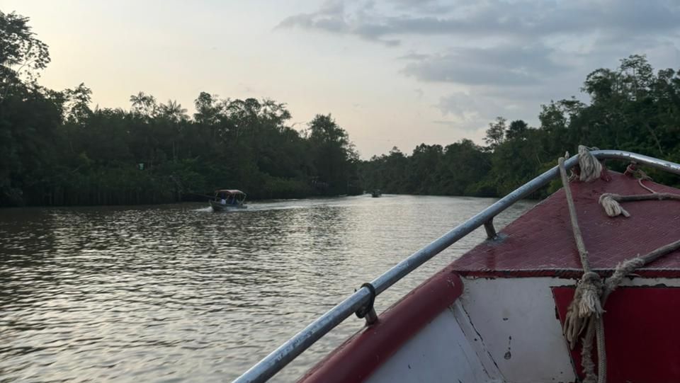 Ilha do Combú