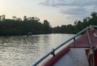 Apesar de desafios, expectativa é que COP 30 em Belém deixe legado em infraestrutura e turismo