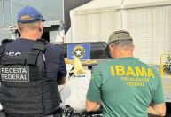 Carga de barbatanas de tubarão avaliada em R$ 1,5 milhão é apreendida no Ceará